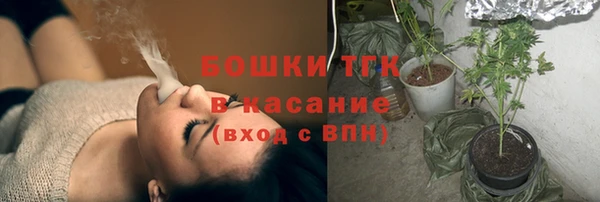 не бодяженный Бородино