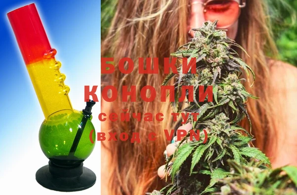 не бодяженный Бородино