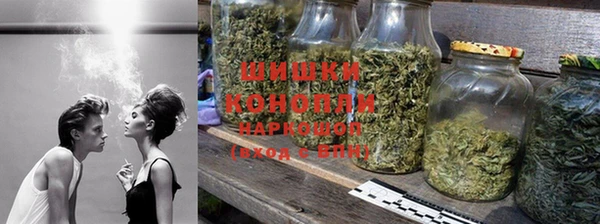 не бодяженный Бородино