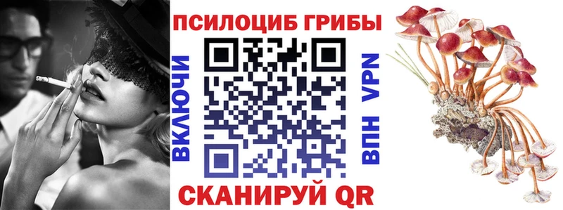Галлюциногенные грибы Psilocybe Змеиногорск