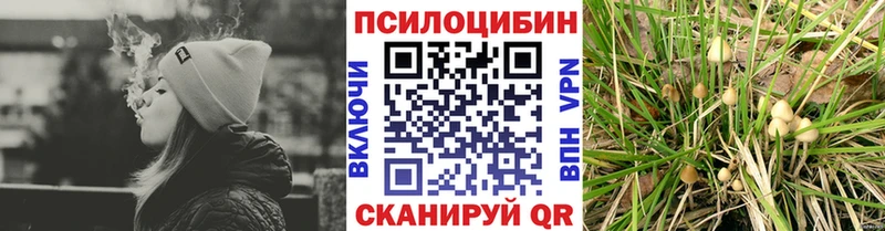 мориарти Telegram Змеиногорск Псилоцибиновые грибы GOLDEN TEACHER